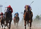 Full Field of Fillies to Contest Dogwood Full Field of Fillies to Contest Dogwood