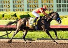 Los Alamitos' Success Difficult to Gauge Los Alamitos' Success Difficult to Gauge