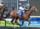Living The Life Repeats in PID Masters Living The Life Repeats in PID Masters