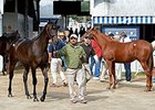 Through 11 of 12 sessions, Keeneland has sold 2,575 yearlings for $279,977,300