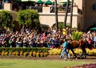 Triple Crown champ American Pharoah made a very special guest appearance between races on Sunday at the Del Mar Thoroughbred Club, much to the delight of thousands of fans who reveled in their last chance to see the superstar at the seaside oval.