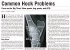 Trade Zone: Common Hock Problems Trade Zone: Common Hock Problems