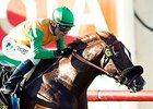 Om Speedy Favorite in Twilight Derby Om Speedy Favorite in Twilight Derby