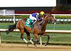 Super Majesty Tops Fasig-Tipton Day 1 Watch List Super Majesty Tops Fasig-Tipton Day 1 Watch List