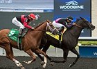 Stacked Deck wins the Bold Venture Stakes.