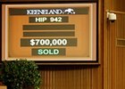Hip 942, a bay colt by Uncle Mo brought a winning bid of $700,000.