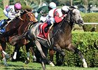 Ironicus<br><a target="blank" href="http://photos.bloodhorse.com/AtTheRaces-1/At-the-Races-2015/i-MbMB7c8">Order This Photo</a>