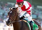 Songbird