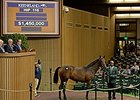 Hip 116, a filly by War Front, sold for $1.45 million.