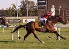 One Go All Go leads the way to victory in the Commonwealth Derby.