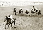 The Importance of Racing at 2 The Importance of Racing at 2