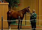 Divine Park Filly Brings $475,000 Divine Park Filly Brings $475,000