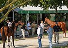 Buyers at Keeneland unlikely to alter behavior based on stock market gyrations
