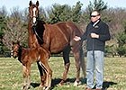 Slideshow: New Foals of 2013 Slideshow: New Foals of 2013
