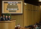 Hip 718, a filly by Street Cry, brought $1.05 million.