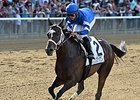Wedding Toast has won her last three races, including the Beldame on September 26.<br><a target="blank" href="http://photos.bloodhorse.com/AtTheRaces-1/At-the-Races-2015/i-cZFrrQn">Order This Photo</a>