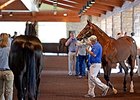 Keeneland September Sale Ends Similar to 2014 Keeneland September Sale Ends Similar to 2014