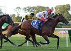 Big Blue Kitten wins the Joe Hirsch Turf Classic in record time.
<br><a target="blank" href="http://photos.bloodhorse.com/AtTheRaces-1/At-the-Races-2015/i-kzwFkVx">Order This Photo</a>