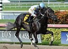 Dream of Me, who won the Dr. Fager on August 8, returns in the Affirmed.<br><a target="blank" href="http://photos.bloodhorse.com/AtTheRaces-1/At-the-Races-2015/i-jt48hpL">Order This Photo</a>