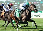Recepta wins the 2015 Noble Damsel.