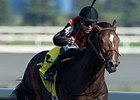 Riker dominates the Swynford Stakes at Woodbine.