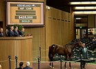 Hip 1206, a bay colt by Flatter out of Breeders' Cup Juvenile Fillies (gr. I) winner Caressing, was purchased for $425,000.