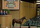 Hip 511 by Bernardini sold for $1.5 million