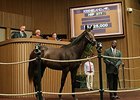 Hip 277, a colt by Distorted Humor, brought $1,525,000.