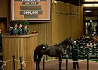Hip 775, a colt by The Factor, brought $600,000 Sept. 18 at the Keeneland September yearling sale.