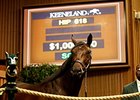 Another Seven-Figure Yearling for War Front Another Seven-Figure Yearling for War Front