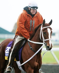 I'm a Chatterbox - Morning Training - Keeneland Race Course - 102715