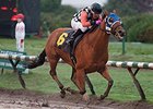 Killin Me Smalls rolls to victory in the British Columbia Premier's Handicap.