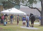 OBS Under Tack Show Set for Oct. 12 OBS Under Tack Show Set for Oct. 12