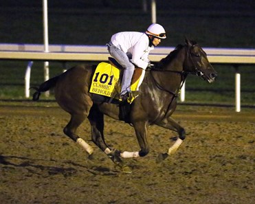 Beholder - Morning Workout - Keeneland Race Course - 102415