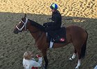 The Pizza Man prepares to work on the Churchill Downs turf.