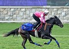 Nemoralia works at Keeneland Oct. 25.
<br><a target="blank" href="http://photos.bloodhorse.com/BreedersCup/2015-Breeders-Cup/Works/i-xqMxzXc">Order This Photo</a>