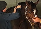 Breeders' Cup News Update for Oct. 27, 2015 Breeders' Cup News Update for Oct. 27, 2015