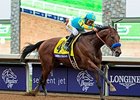 American Pharoah<br><a target="blank" href="http://photos.bloodhorse.com/BreedersCup/2015-Breeders-Cup/Breeders-Cup-Classic/i-Q9QdvQ8">Order This Photo</a>