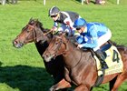Nine Supplemented to Fasig-Tipton November Nine Supplemented to Fasig-Tipton November