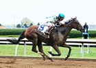 Tiger Ride flies home to win the Pin Oak Valley View.