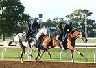Curalina (inside) worked in company with Race Day.