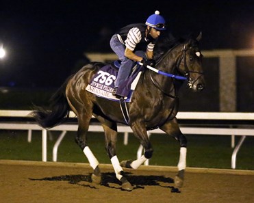 Nickname - Morning Gallop - Keeneland Race Course - 102315