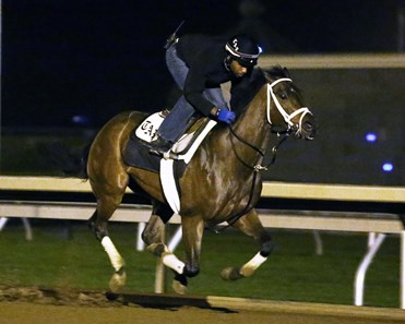 Sweet Whiskey - Morning Workout - Keeneland Race Course - 102315