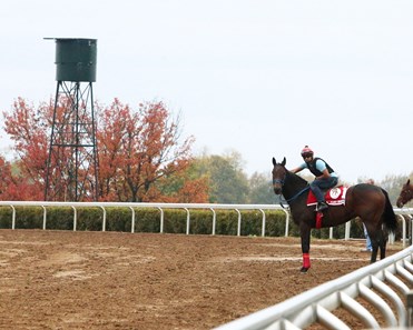 Mongolian Saturday - Morning Training - Keeneland Race Course - 102415