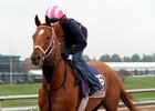 Kiss to Remember expected for June 4 Gulfstream stakes