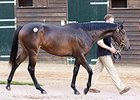 The third-day's topper was a Street Cry filly purchased for 800,000 guineas ($1,285,200).