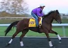 Breeders' Cup News Update for Oct. 29, 2015 Breeders' Cup News Update for Oct. 29, 2015
