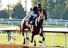 Runhappy worked six furlongs in 1:09 4/5 on Oct. 21.