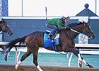 Untapable Seeks Return to Form Untapable Seeks Return to Form