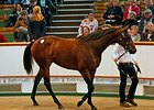 Lot 30, a Galileo filly, brought 1.3 million guineas.